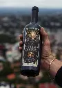 Captura de pantalla_4-6-2025_124931_.webp
