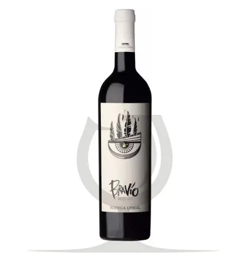 Bravio Uxmal Malbec - 750cc