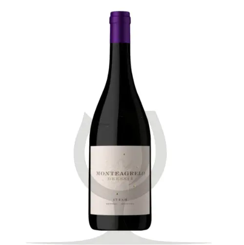 Bressia Monteagrelo Syrah - 750ml
